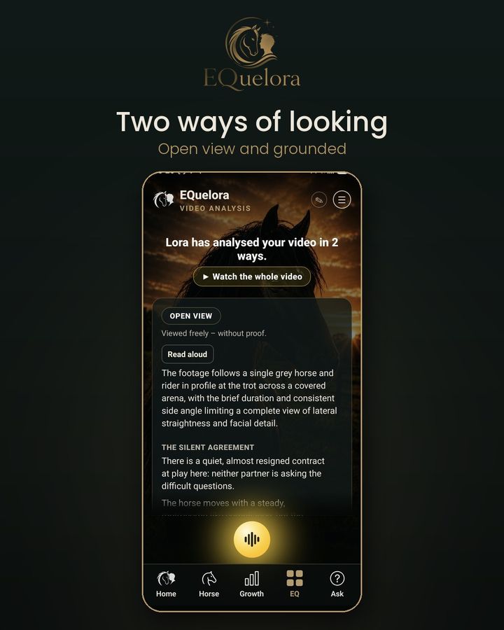 Two ways of looking: Open view and Grounded