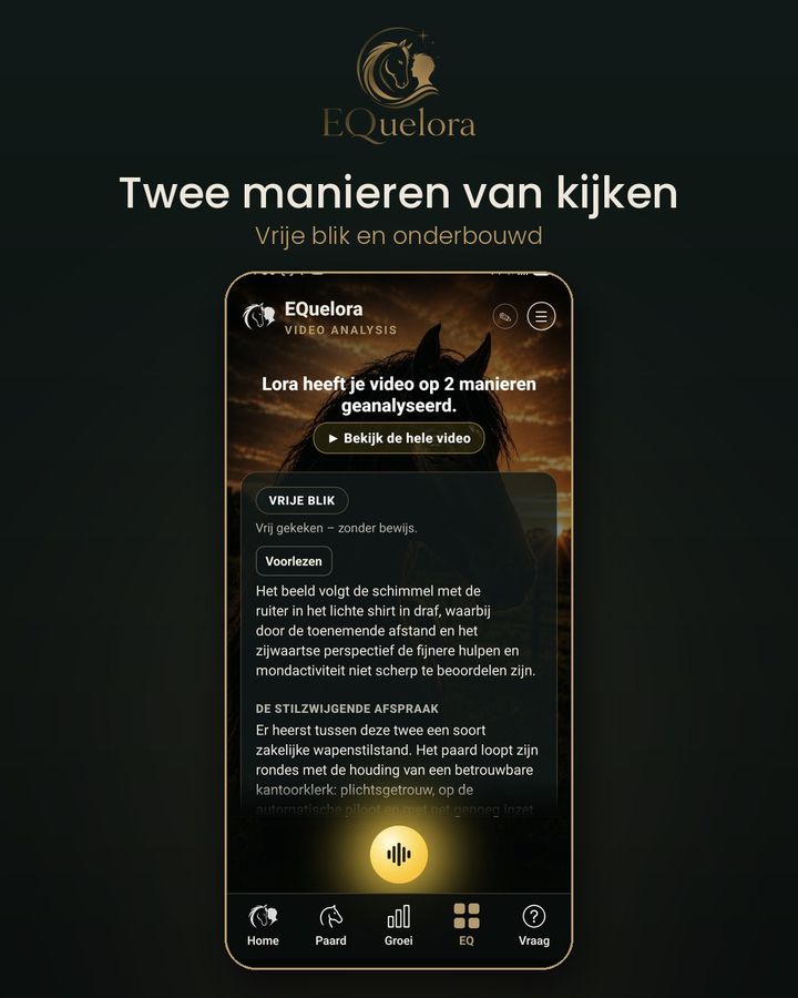 Twee manieren van kijken: vrije blik en onderbouwd