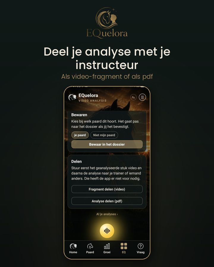 Deel je analyse met je instructeur